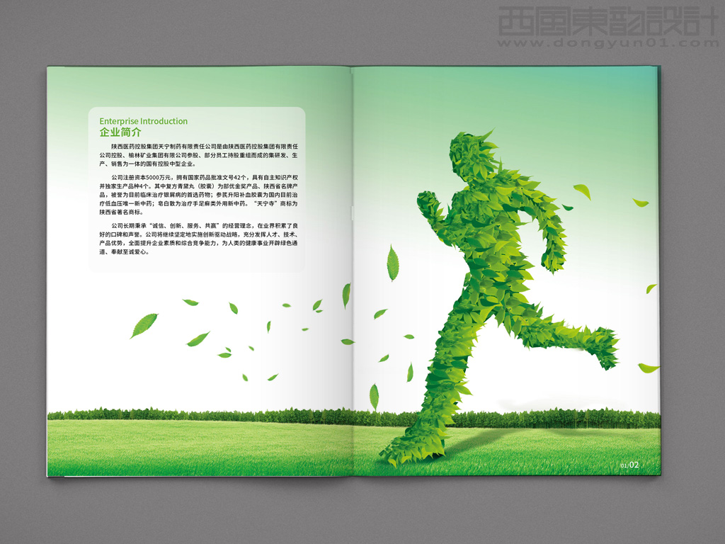 陜西醫(yī)藥控股集團天寧制藥有限責(zé)任公司系列藥品包裝設(shè)計之產(chǎn)品手冊內(nèi)頁設(shè)計 陜西醫(yī)藥控股集團天寧制藥有限責(zé)任公司系列藥品包裝設(shè)計之產(chǎn)品手冊內(nèi)頁設(shè)計