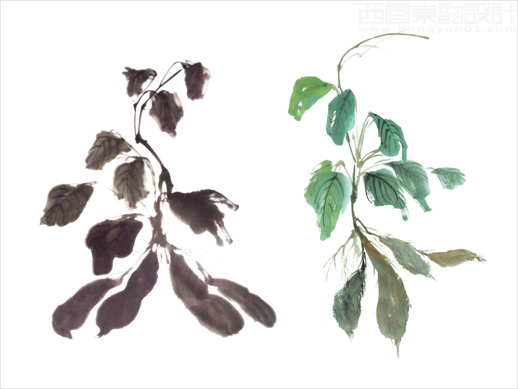 上海越元實(shí)業(yè)有限公司Shoptea何首烏保健品包裝設(shè)計(jì)核心元素------何首烏國(guó)畫圖 上海越元實(shí)業(yè)有限公司Shoptea何首烏保健品包裝設(shè)計(jì)核心元素------何首烏國(guó)畫圖