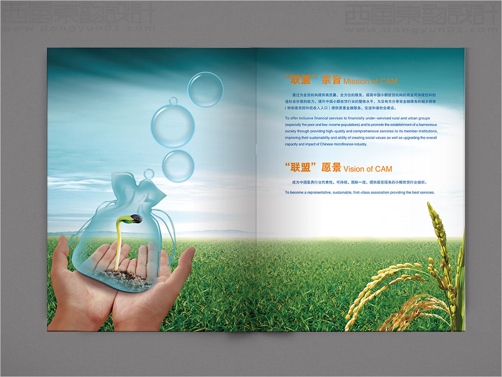 中國小額信貸聯(lián)盟年報(bào)設(shè)計(jì)之聯(lián)盟宗旨、愿景內(nèi)頁設(shè)計(jì)