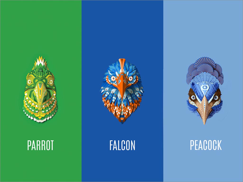 美國(guó)Birdman植物蛋白粉保健品包裝設(shè)計(jì)之插畫(huà)設(shè)計(jì)