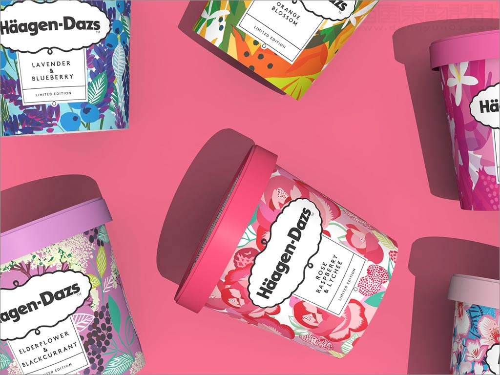 采用獨(dú)特插畫的美國哈根達(dá)斯冰淇淋包裝設(shè)計