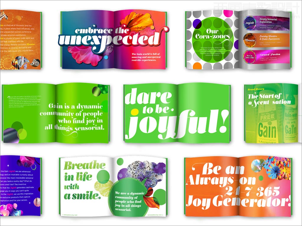 美國Gain洗衣液洗衣凝珠日化用品產(chǎn)品手冊內(nèi)頁設(shè)計