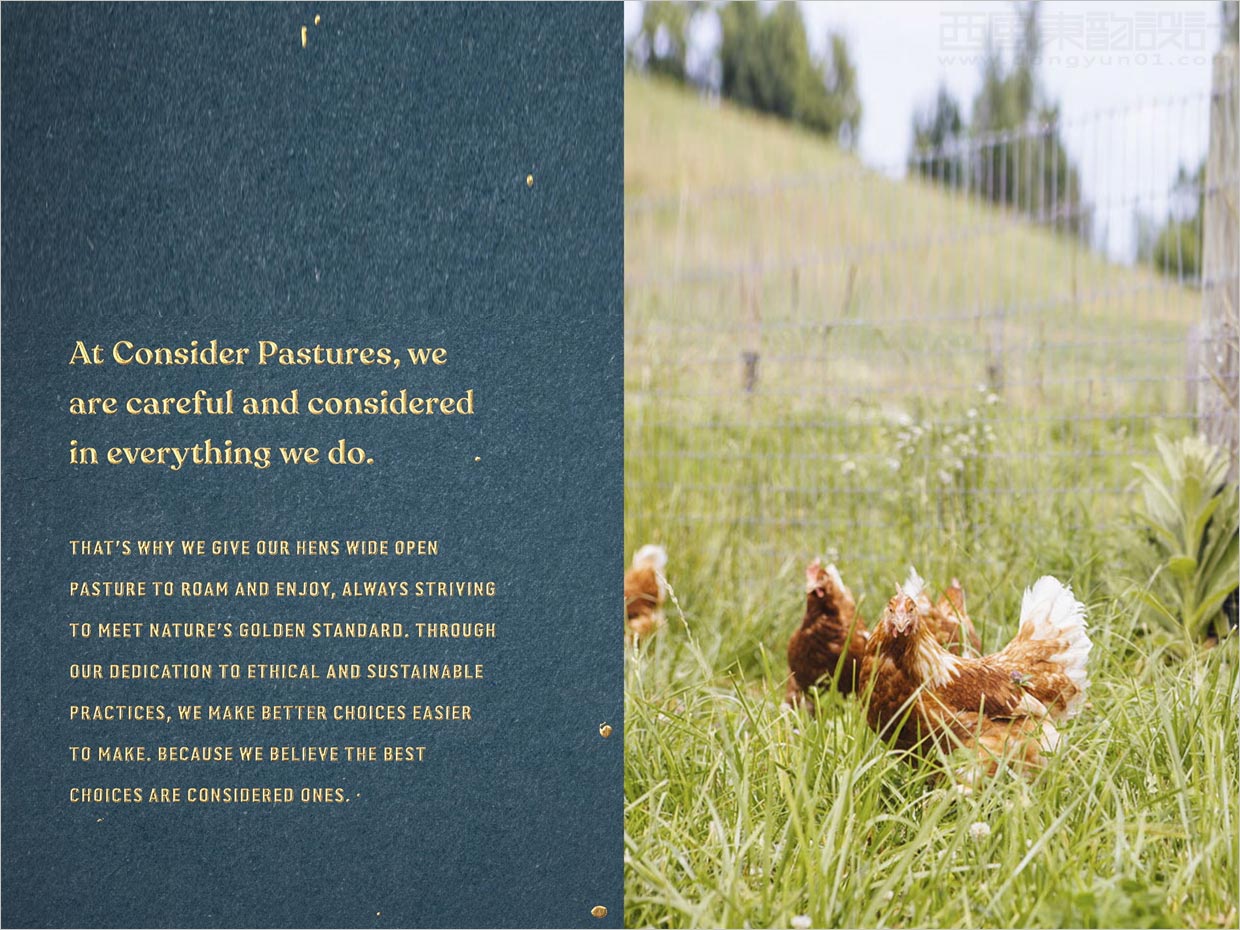 美國(guó)Consert Pastures雞蛋品牌產(chǎn)品手冊(cè)設(shè)計(jì)
