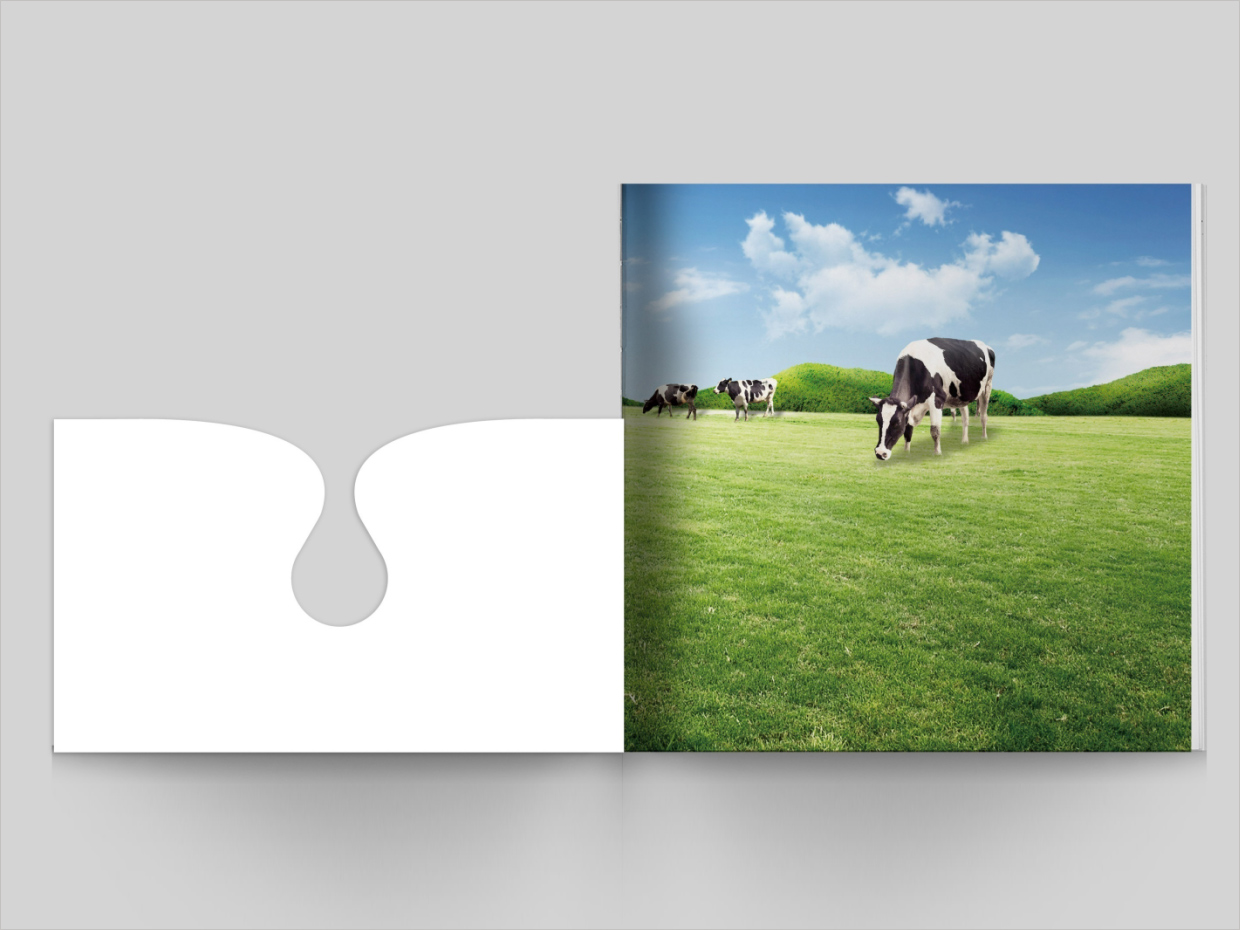 山東得益乳業(yè)股份有限公司畫冊設(shè)計之封面工藝展示 山東得益乳業(yè)股份有限公司畫冊設(shè)計之封面工藝展示