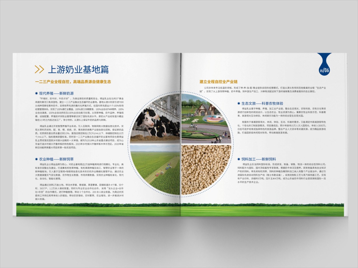 山東得益乳業(yè)股份有限公司畫冊設(shè)計之內(nèi)頁設(shè)計 山東得益乳業(yè)股份有限公司畫冊設(shè)計之內(nèi)頁設(shè)計