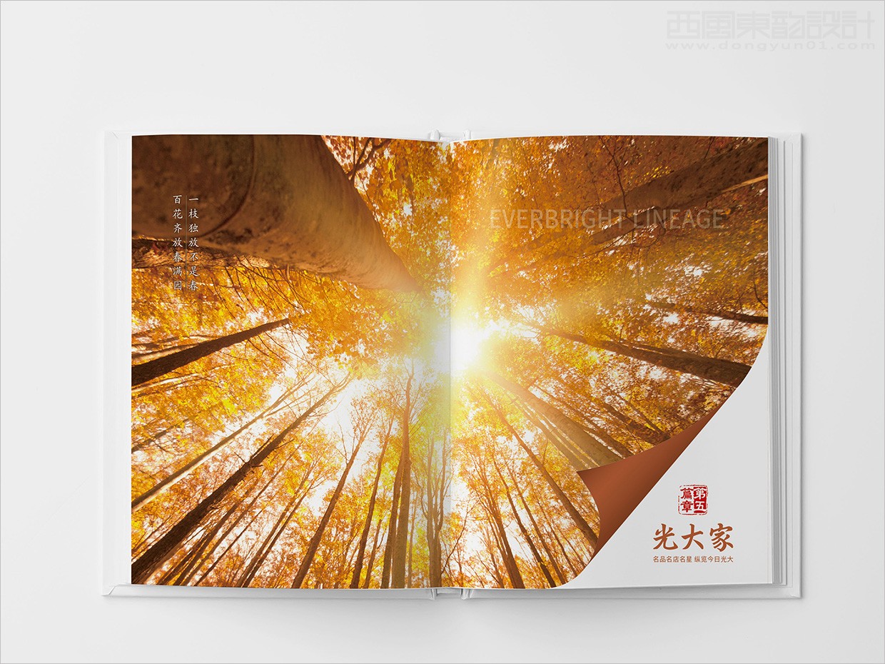 中國光大集團畫冊設計之畫冊內(nèi)頁設計 中國光大集團畫冊設計之畫冊內(nèi)頁設計