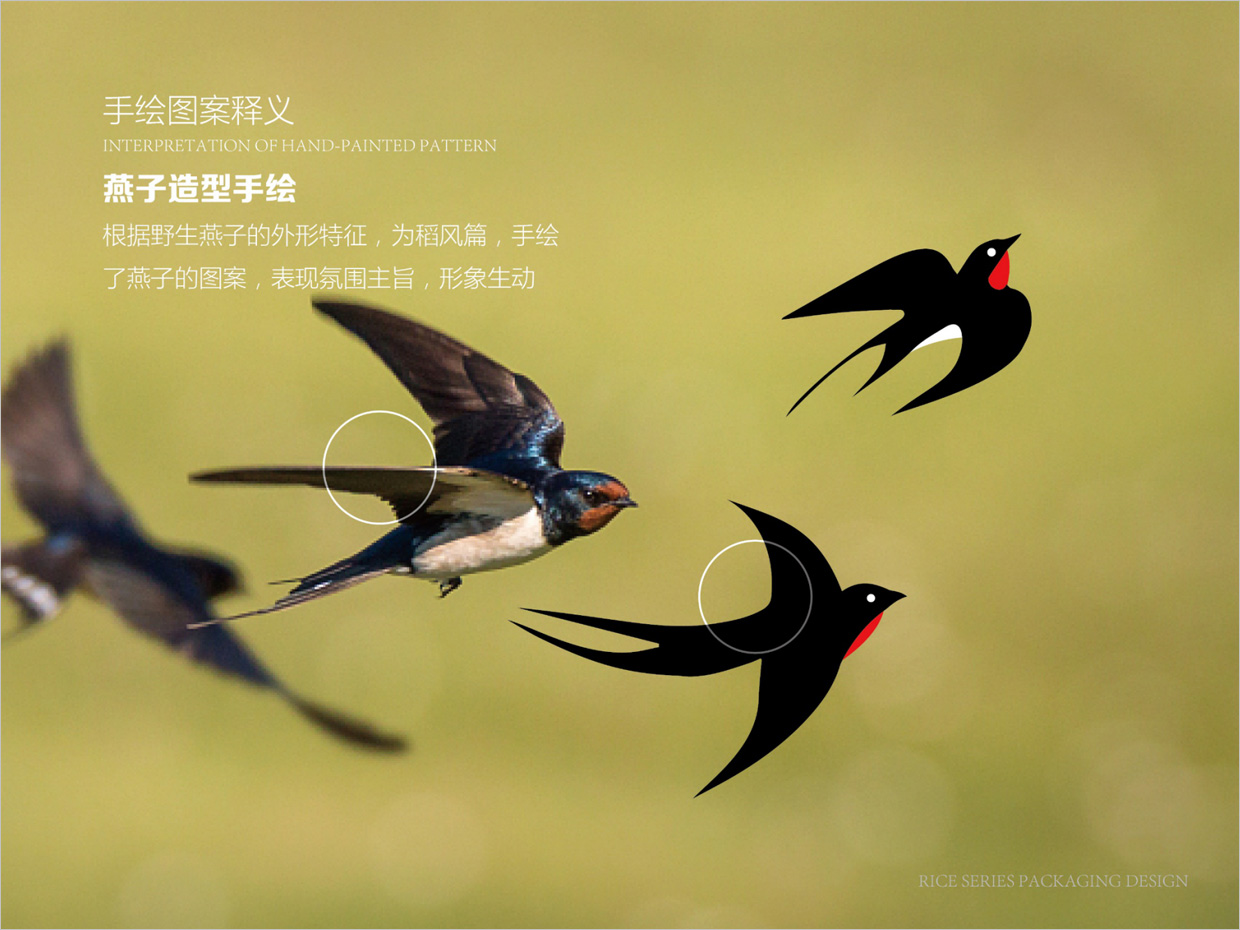 綠牧嶺大米農(nóng)產(chǎn)品包裝設計之燕子手繪插圖 綠牧嶺大米農(nóng)產(chǎn)品包裝設計之燕子手繪插圖