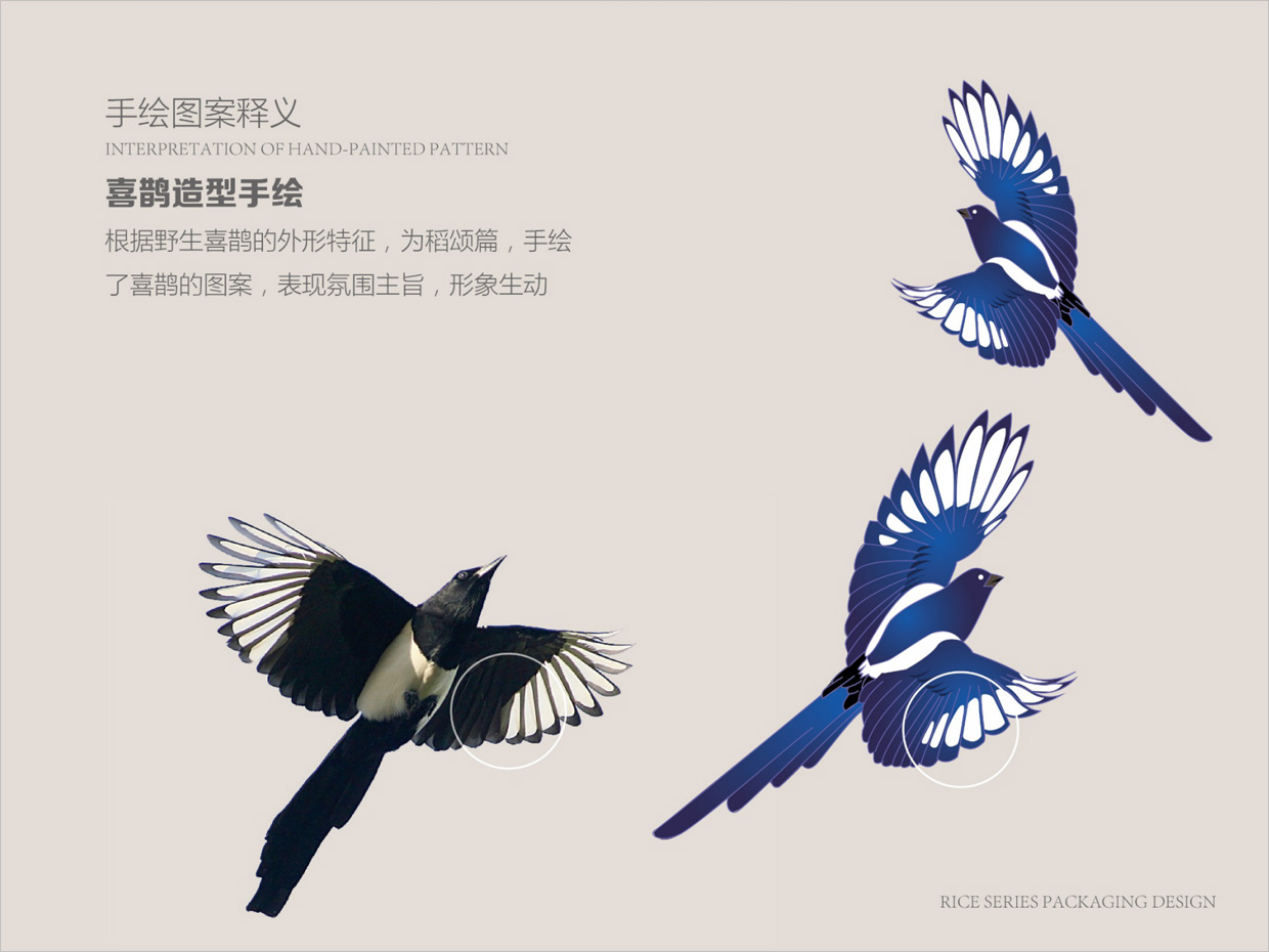 綠牧嶺大米農(nóng)產(chǎn)品包裝設計之喜鵲手繪插圖 綠牧嶺大米農(nóng)產(chǎn)品包裝設計之喜鵲手繪插圖