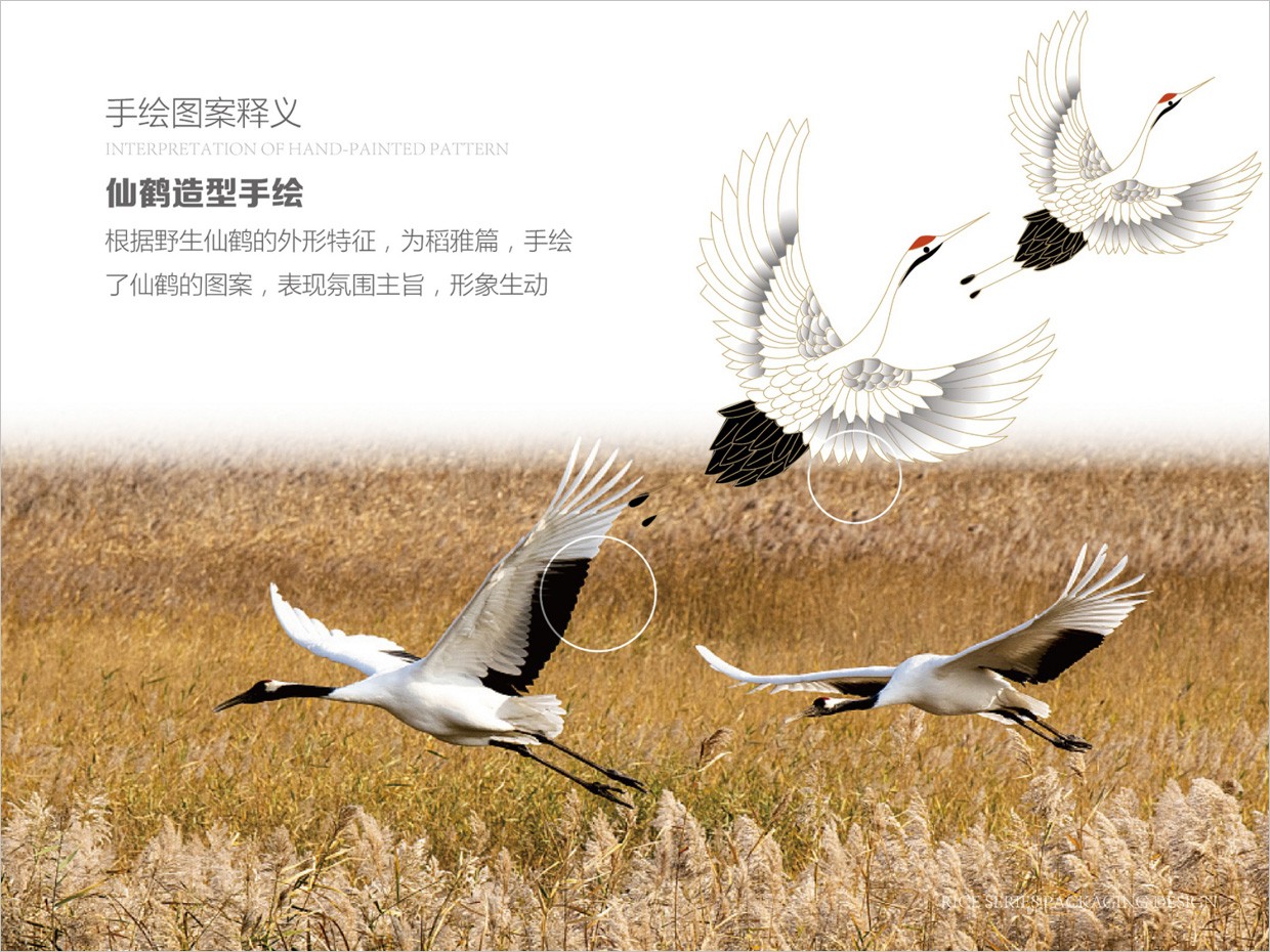 綠牧嶺大米農(nóng)產(chǎn)品包裝設計之仙鶴手繪插圖 綠牧嶺大米農(nóng)產(chǎn)品包裝設計之仙鶴手繪插圖