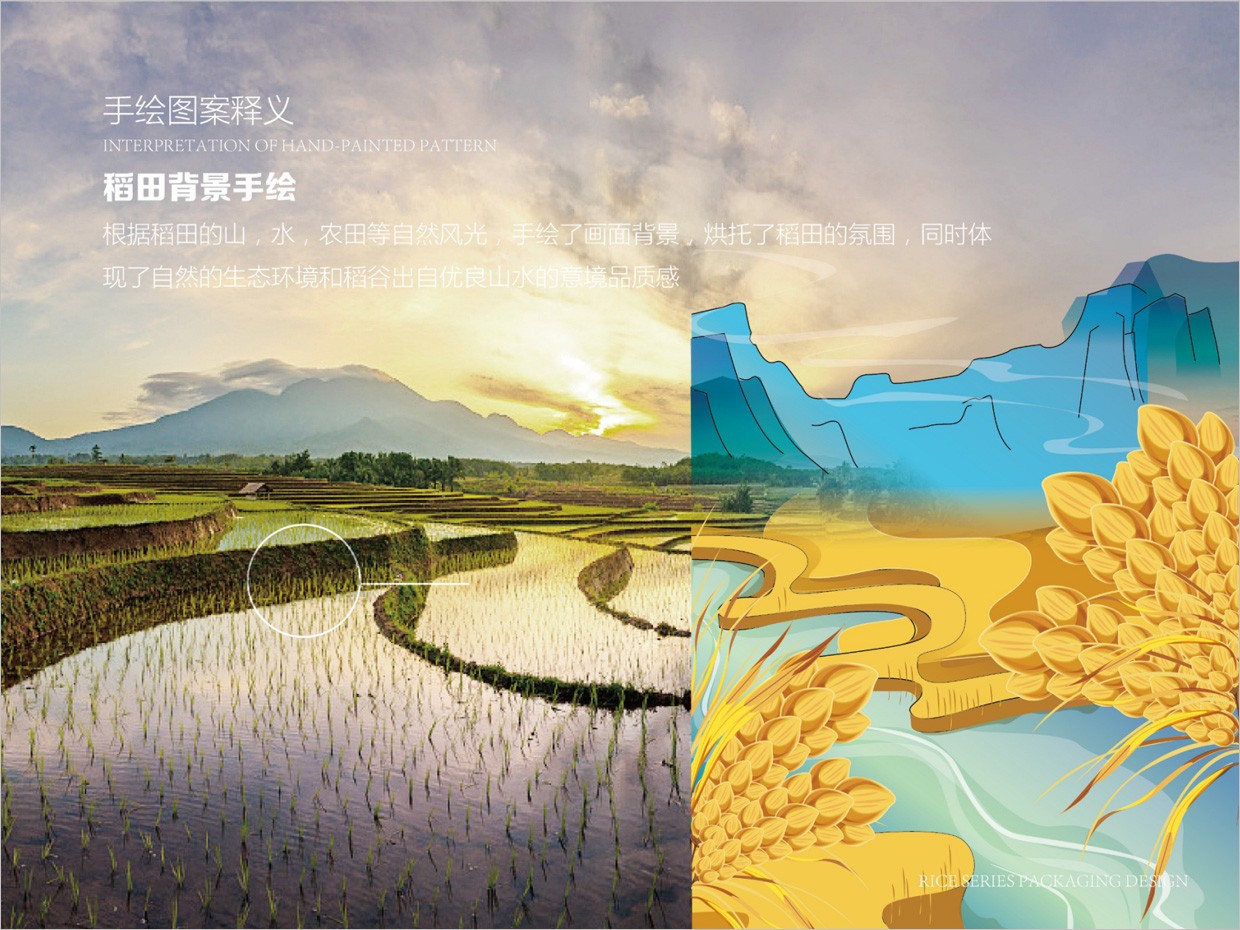 綠牧嶺大米農(nóng)產(chǎn)品包裝設計之稻田手繪插圖 綠牧嶺大米農(nóng)產(chǎn)品包裝設計之稻田手繪插圖