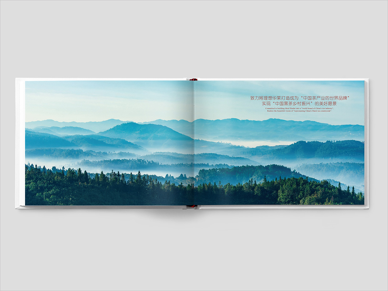 理想華萊科技集團公司畫冊設計之扉頁設計 理想華萊科技集團公司畫冊設計之扉頁設計