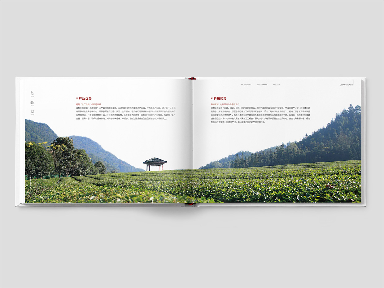 理想華萊科技集團公司畫冊設計之產業(yè)優(yōu)勢頁面設計 理想華萊科技集團公司畫冊設計之產業(yè)優(yōu)勢頁面設計