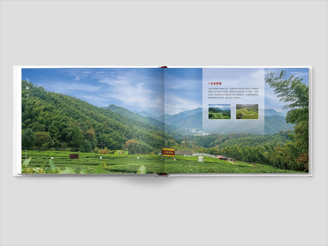 理想華萊科技集團公司畫冊設計之水龍茶園頁面設計 理想華萊科技集團公司畫冊設計之水龍茶園頁面設計