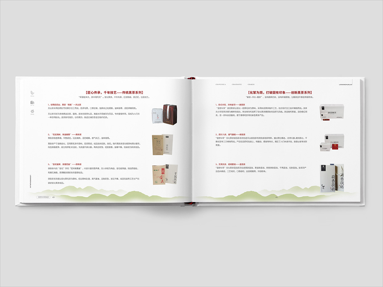 理想華萊科技集團公司畫冊設計之產品介紹頁面設計 理想華萊科技集團公司畫冊設計之產品介紹頁面設計