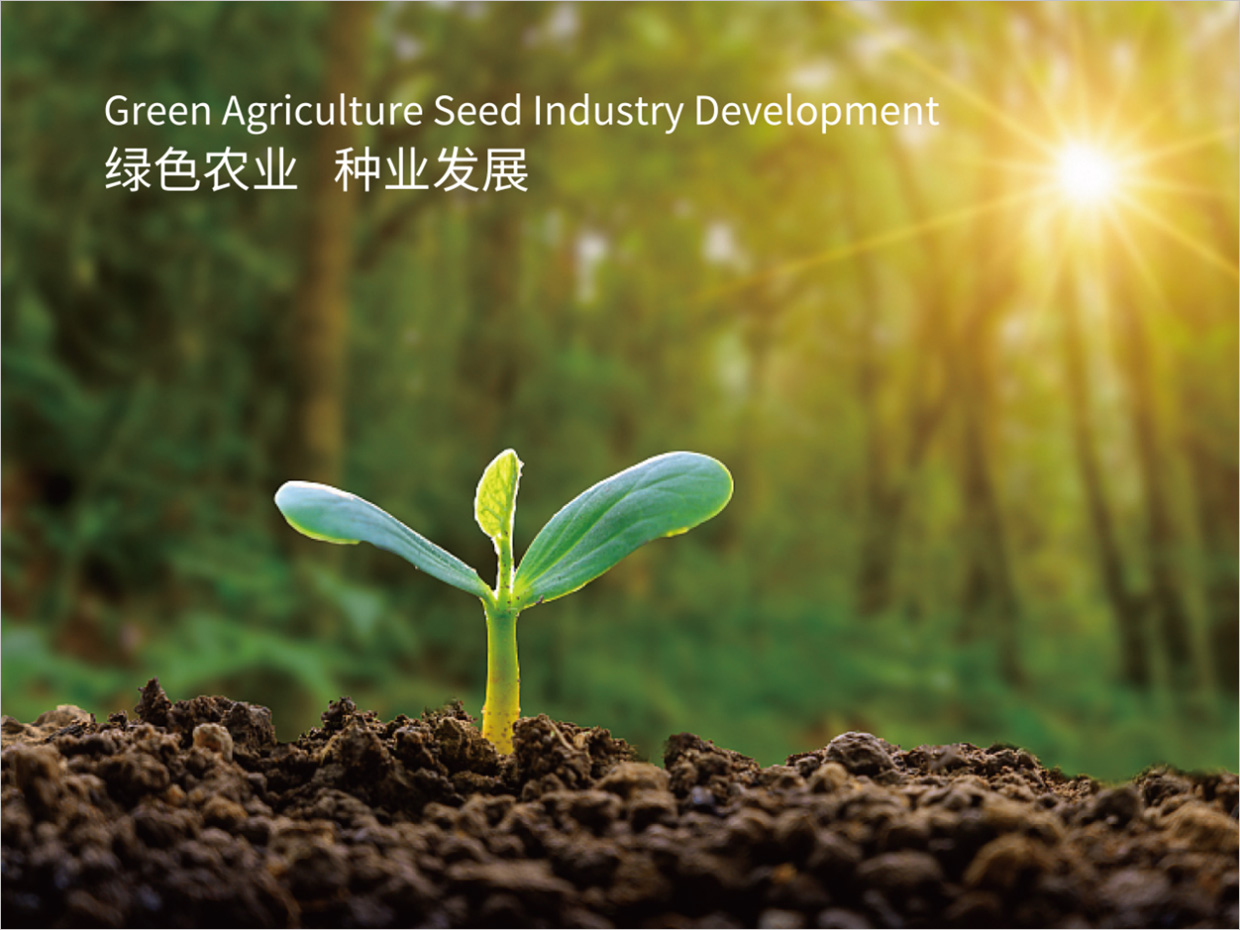 北京先農投資管理公司logo設計創(chuàng)意理念說明之禾苗幼芽